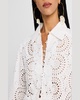 Andie Floral Eyelet Mini Dress