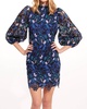 ava dress in bellrose
