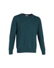 paris crewneck sweater in green wool