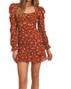 barn dance ruffled mini dress in rust