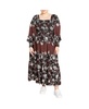 Plus Size Sadie Placement Dress