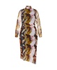 Plus Size Mesh Miranda Print Dress