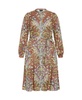 Plus Size Mysteria Print Dress