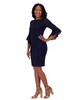 Petite Boat-Neck Side-Pleat Sheath Dress