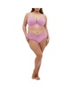 Plus Size Adore Push Up Bra