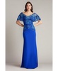 Deming Ruffled Sleeve Illusion Gown