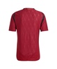 Men's Burgundy Belgium National Team 2024 Home Authentic Jersey