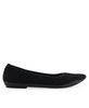 Women's Danielle Pointed Toe Flat Flats