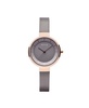 Ladies' Slim Solar Case Mesh Watch