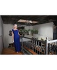Women's Embellished Ruched Gown