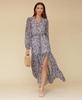 Women's Printed Chiffon Maxi Dress
