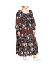 Plus Size Sadie Placement Dress