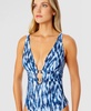Women's Printed Plunge-Front One-Piece Swimsuit