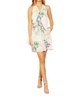 reagan mini fdress in belle palm