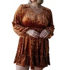 magnificent muse velvet dress in gold