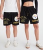 pittsburgh steelers mesh shorts 6"