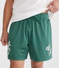 embroidered floral mesh shorts 6"
