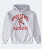 ohio state buckeyes pullover hoodie