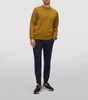 Cotton Crew-Neck Sweater