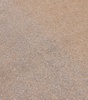 Cashmere Crystal-Embellished Scarf