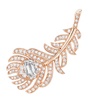 Small Rose Gold Plume da Paon Ear Clips
