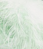 Ostrich Feather Kidman Jacket