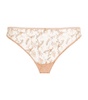 Italian Briefs