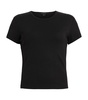 Organic Cotton Stevie T-Shirt