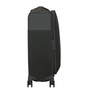 D’lite Spinner Suitcase (55cm)