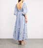Linen Viviane Soledad Maxi Dress