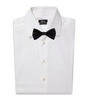 Silk Pre-Tied Bow Tie