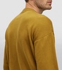 Cotton Crew-Neck Sweater