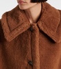 Teddy Bear cape