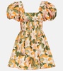 Caramelo Lirio floral cotton minidress