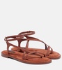 Edna suede thong sandals