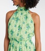Cactus halterneck silk gown