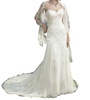 lace appliqué a-line gown in ivory/ivory/silver