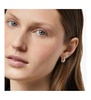 Twisted Hoop Earrings - Paris Small Pave