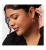 - Double Hoop Earrings - Ash Double Two Tone