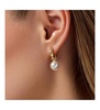 - Pearl Drop Earrings - Maxine